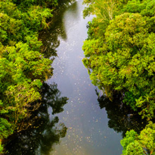 Référence Lykope : Chazai & Partners