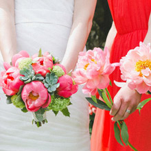 Référence Lykope : Com' une orchidée